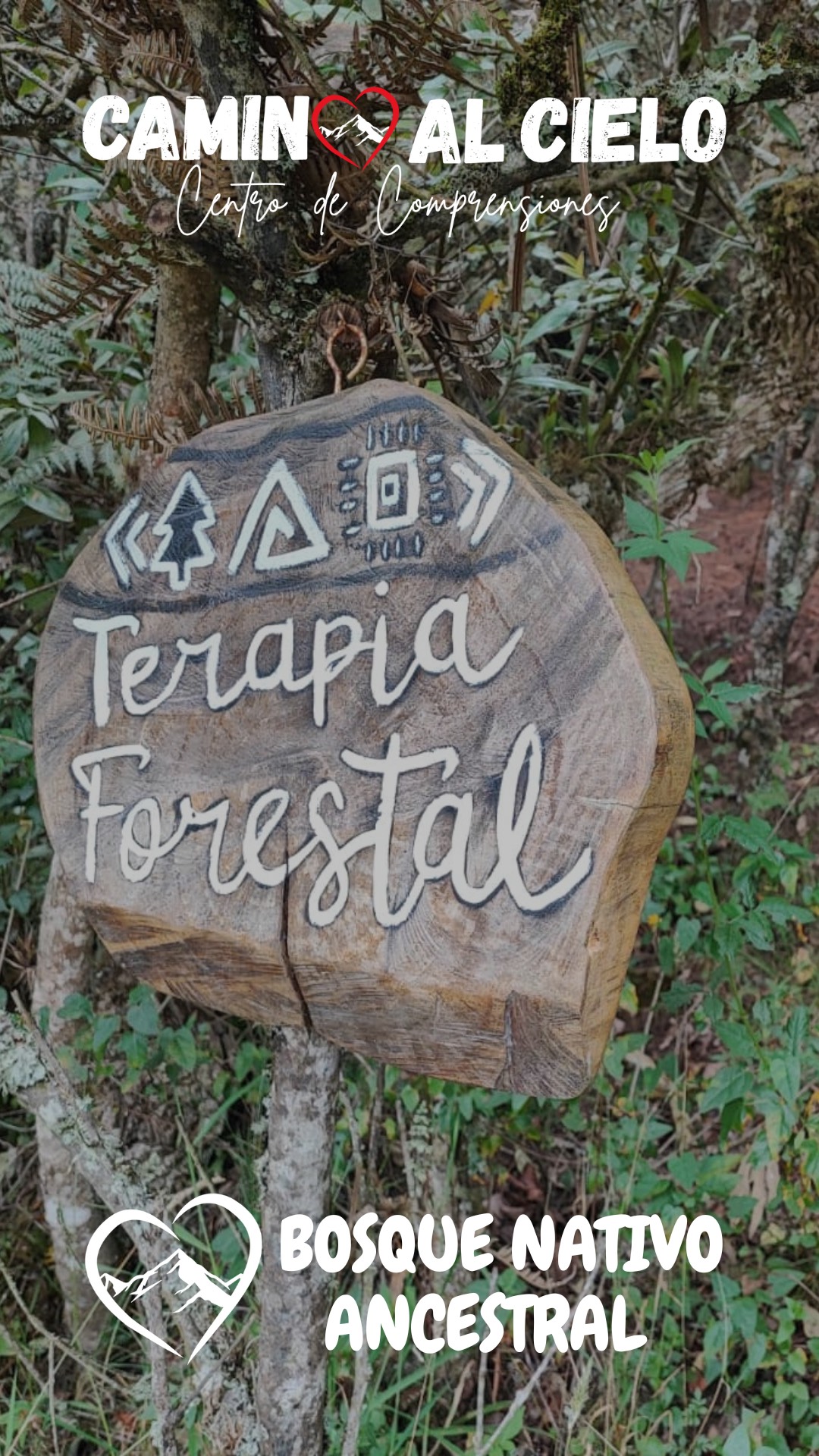 BOSQUE NATIVO ANCESTRAL